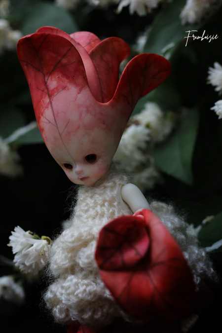 fleur_ou_demon1